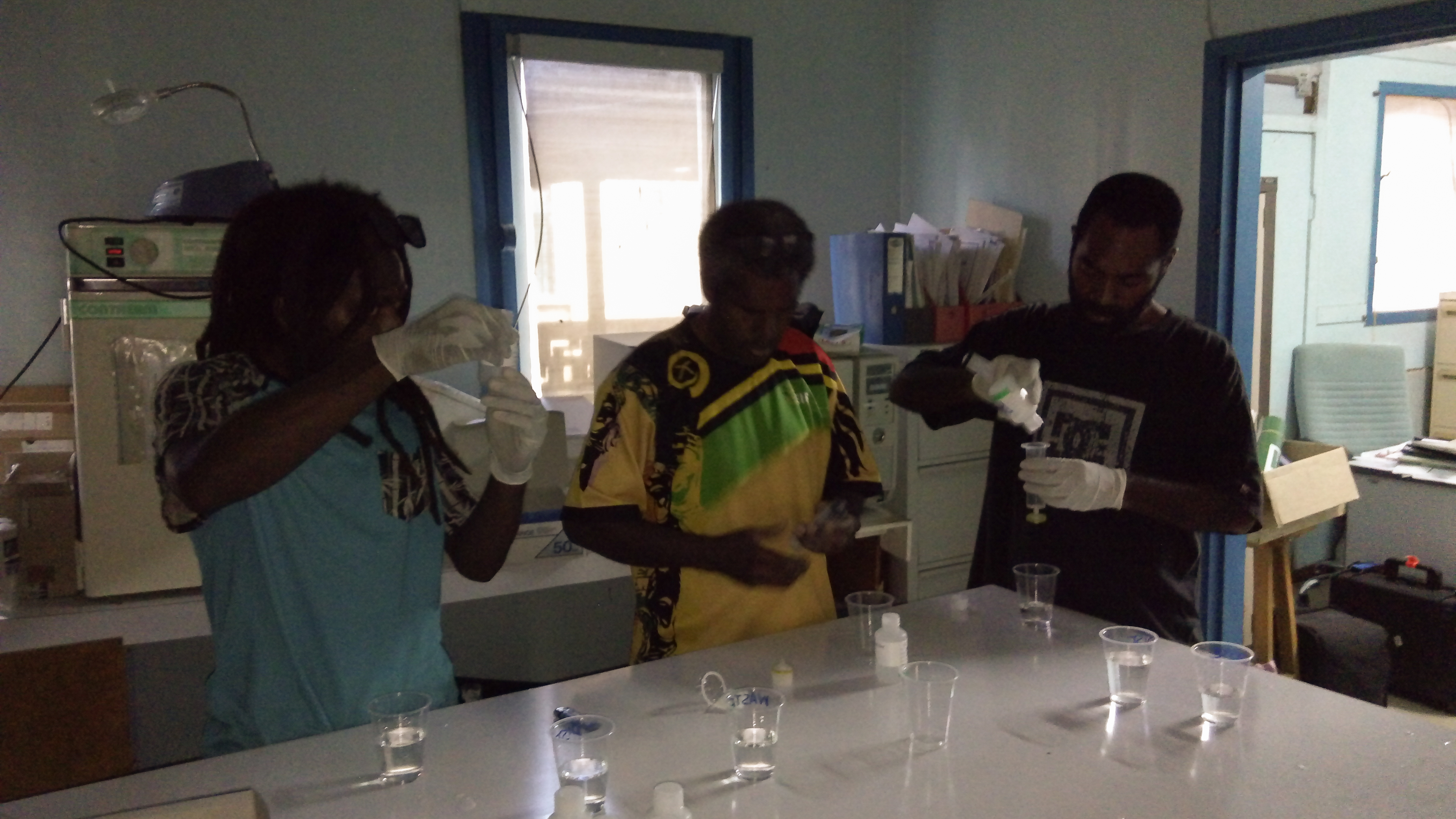 Fieldwork in Vanuatu