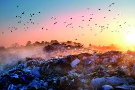 PFAS Remediation Technology - investment opportunity