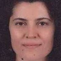 Goksen Capar, Assoc. Prof. Dr. at Ankara University