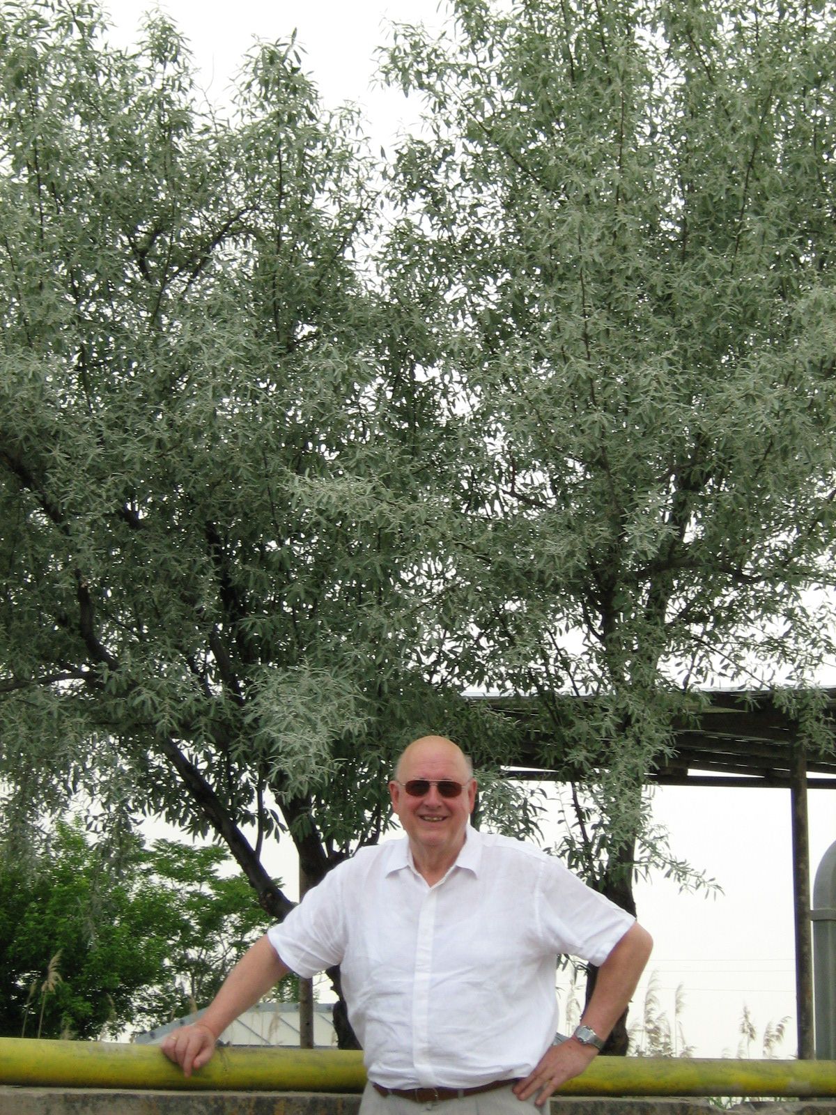 H.R. Briede, SAGROD International - MD