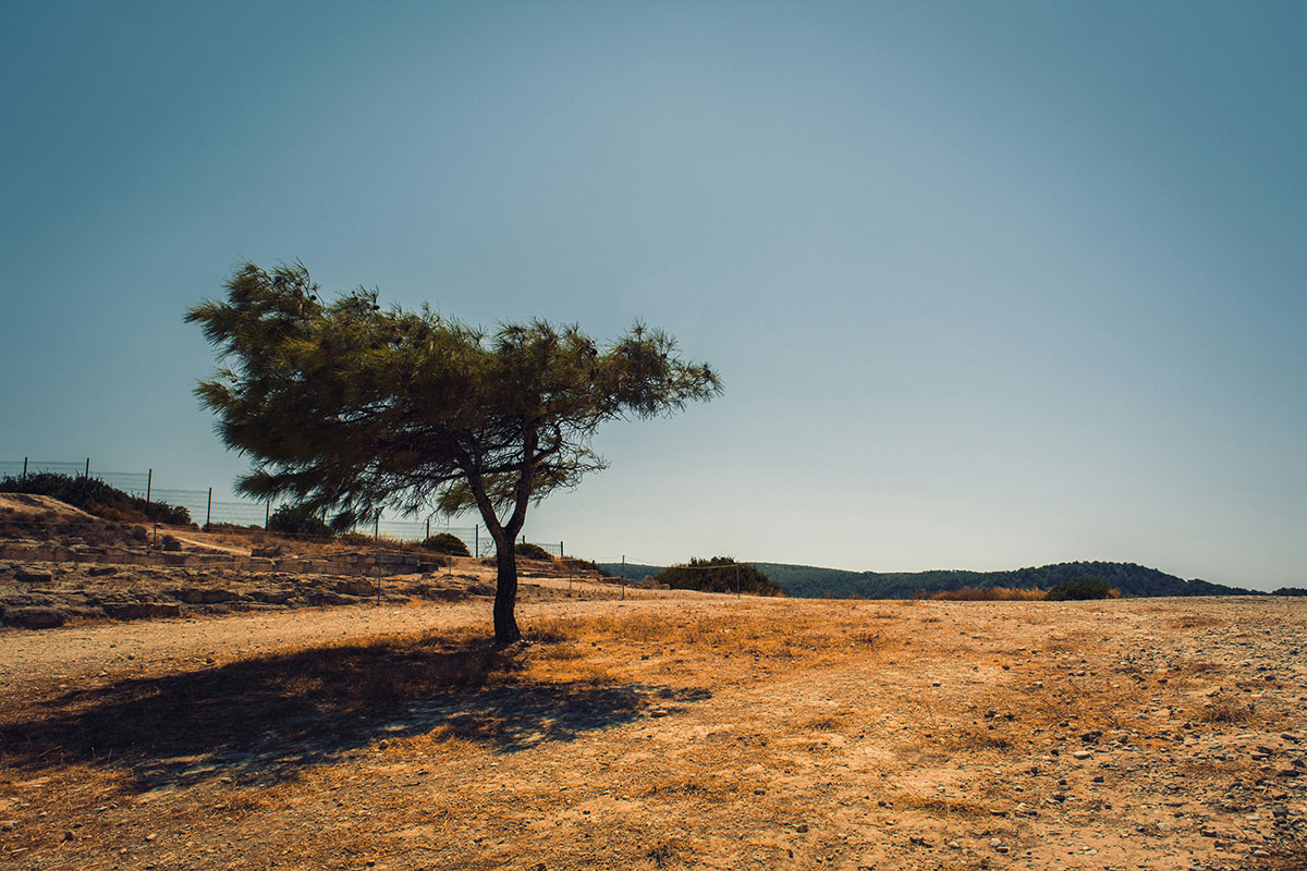This Week in Water for March 29, 2026