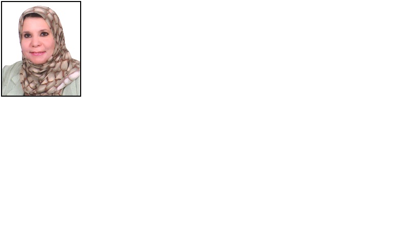 Nahla Sadek, Nile Research Institute, National water research center - professor