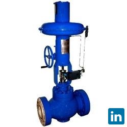 PNEUCON VALVES, Manager Marketing & Development  at Pneucon Valves Pvt Ltd