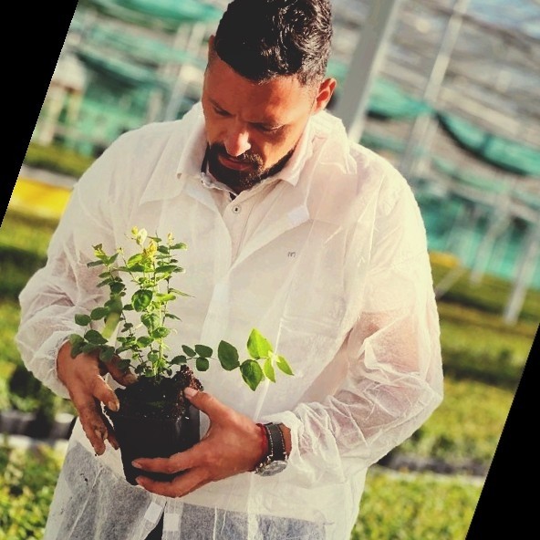 Pedro Fernandes Rosa, pmfr.87@gmail.com