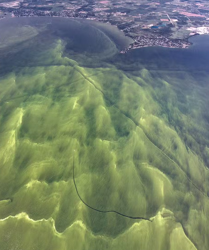Harmful Algal bloom webinar series