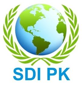 SDIPK Private.Limited, SDIPK - Chief Executive