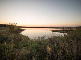 3 Signs of an Unhealthy Lagoon - Wastewater Treatment (Video Tutorial)
