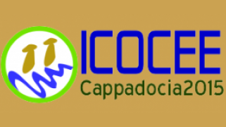 International Conference on Civil and Environmental Engineering