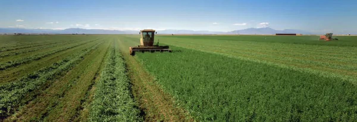 Nearly half the river&rsquo;s water goes to growing livestock feed and low-value exports.by Daniel M. FreyForty million people depend on the Colorad...