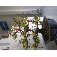 Thinh Pham, Electrical Engineer at Hydroscience Asia