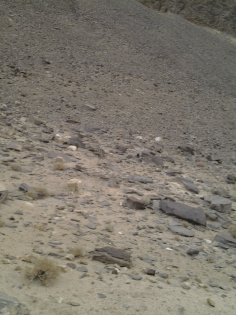 Groundwater development @ Lukung ,Pangong Ladakh India