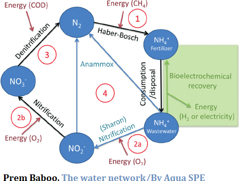 The removal of nitrogen and ...