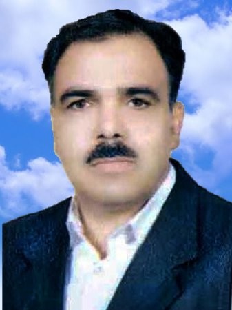 mehdi rezaei, Accounting Professional