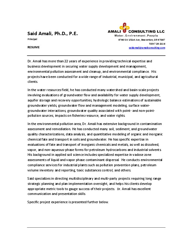 said amali, Amali Consulting - President