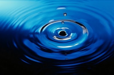 Simon Octeau, Heritage Laurentien - President