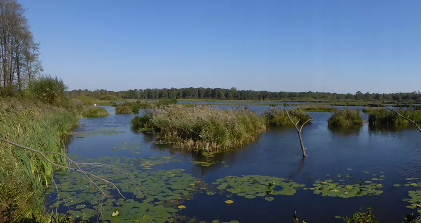 EU ruling needed on small-scale groundwater abstractions