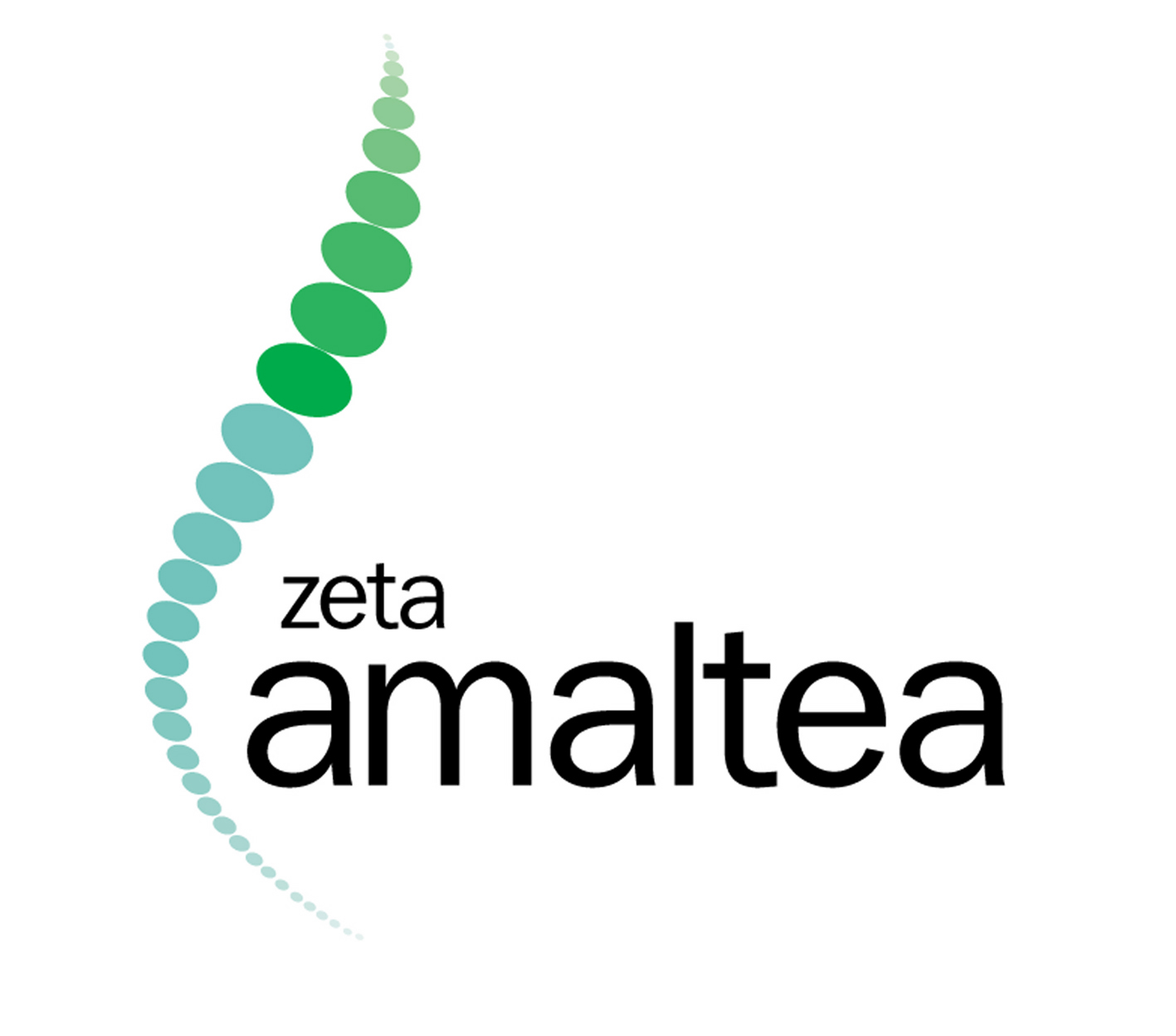 Miguel García, Zeta Amaltea S.L. - CEO