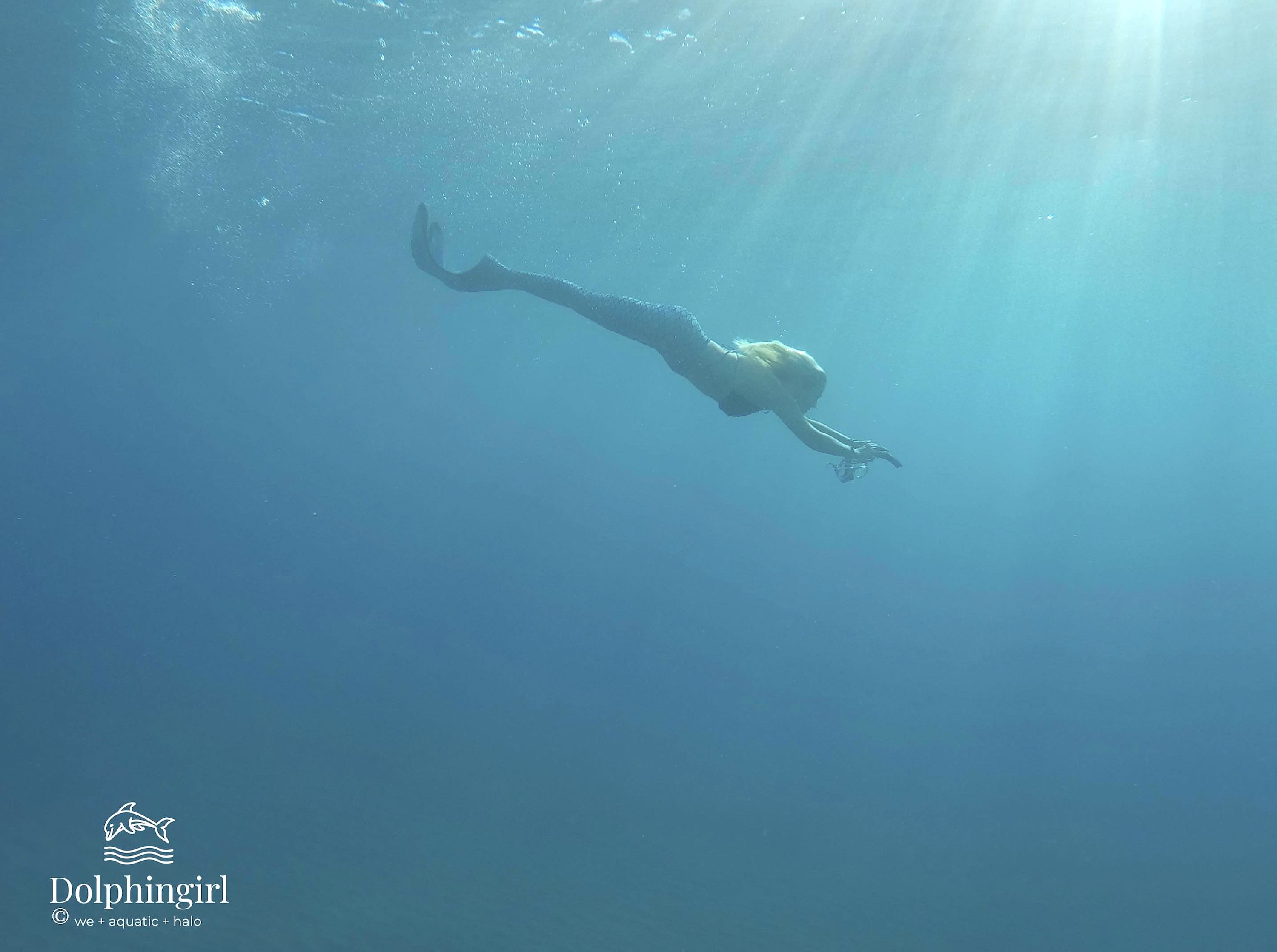 Aloha! I'm Dove, aka Dolphingirl... my mission in life is promoting planetary care and peace, through the arts, being a spokesperson for animals...