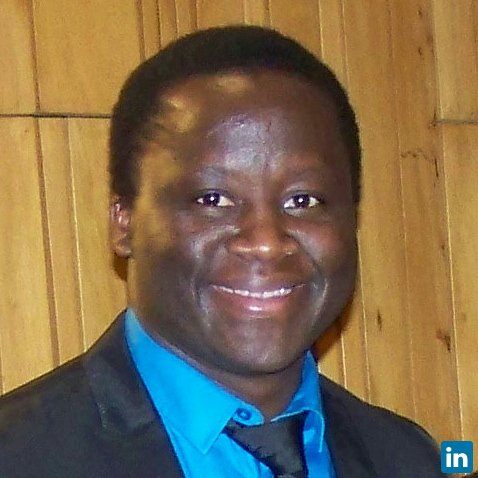 Mwasiswebe D., Technical and Management Professional 