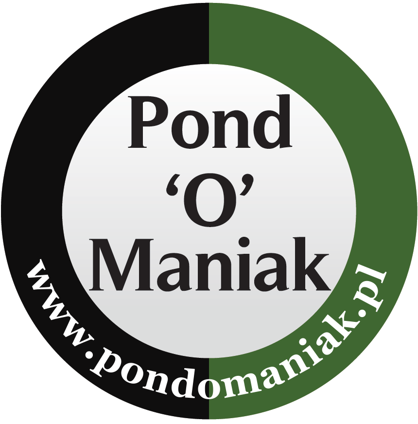 Marcin Paruszewski, Pondomaniak - Owner