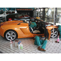 Shadley Young, Director at Eco D Wash S.A.