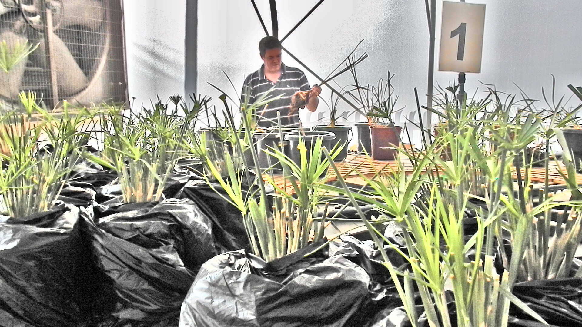 Ecological engineering innovations