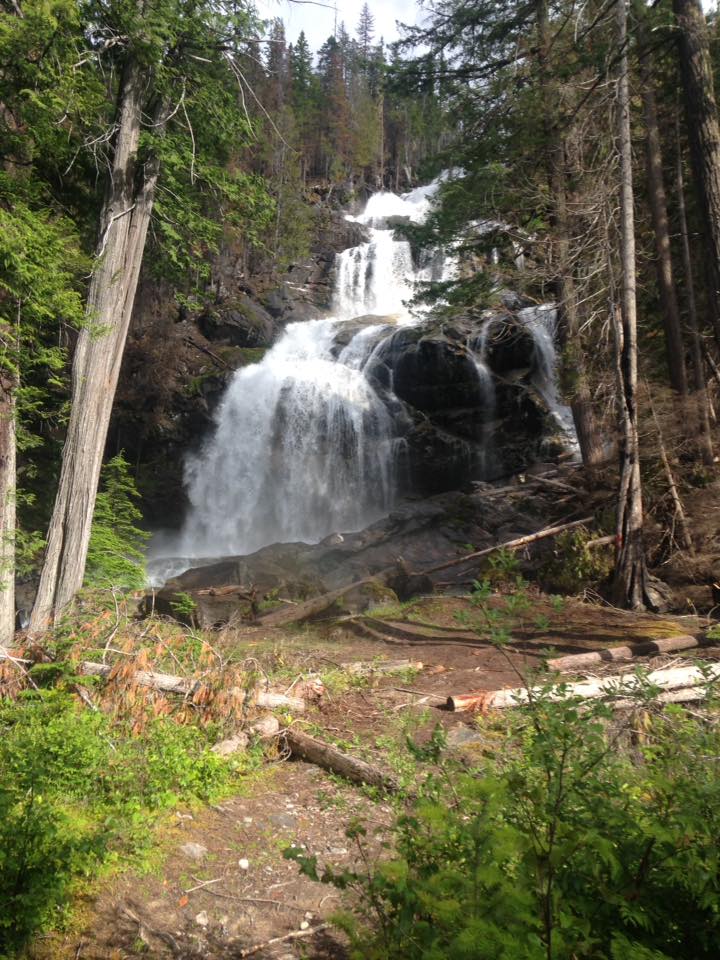 Nature Photos - Jillian Stewart