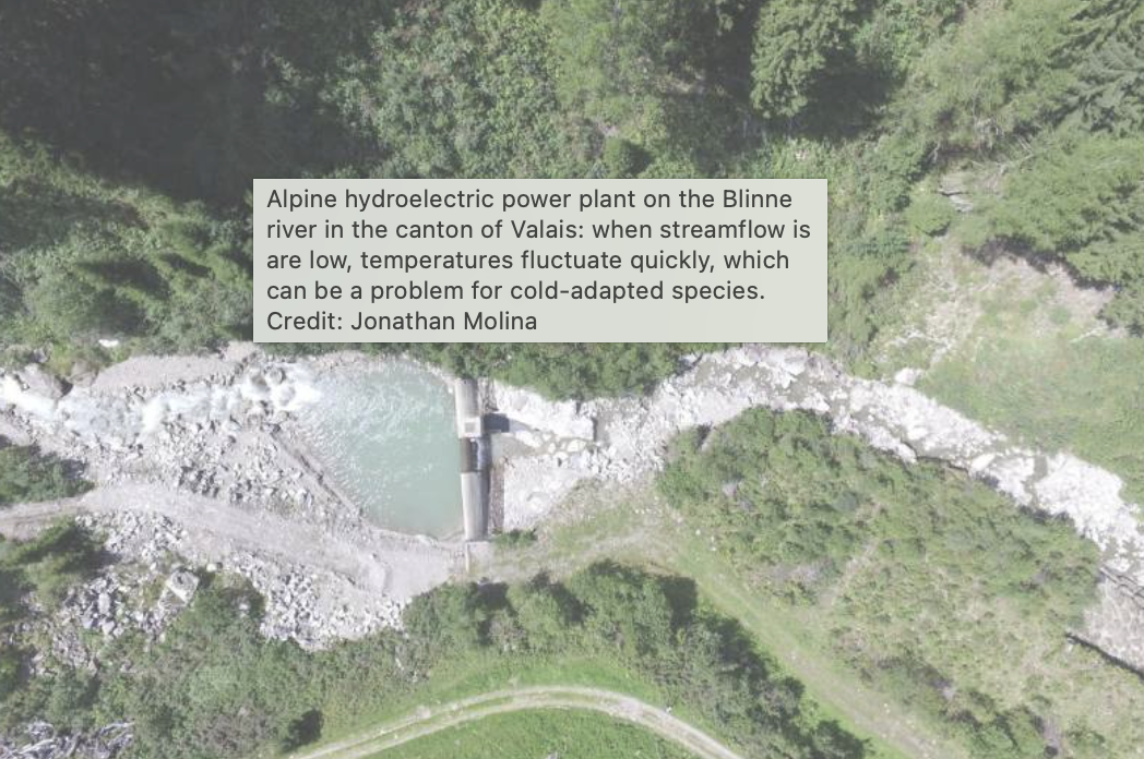 In many rivers, only a small amount of streamflow remains for nature after water is diverted for hydropower production. In light of climate chan...