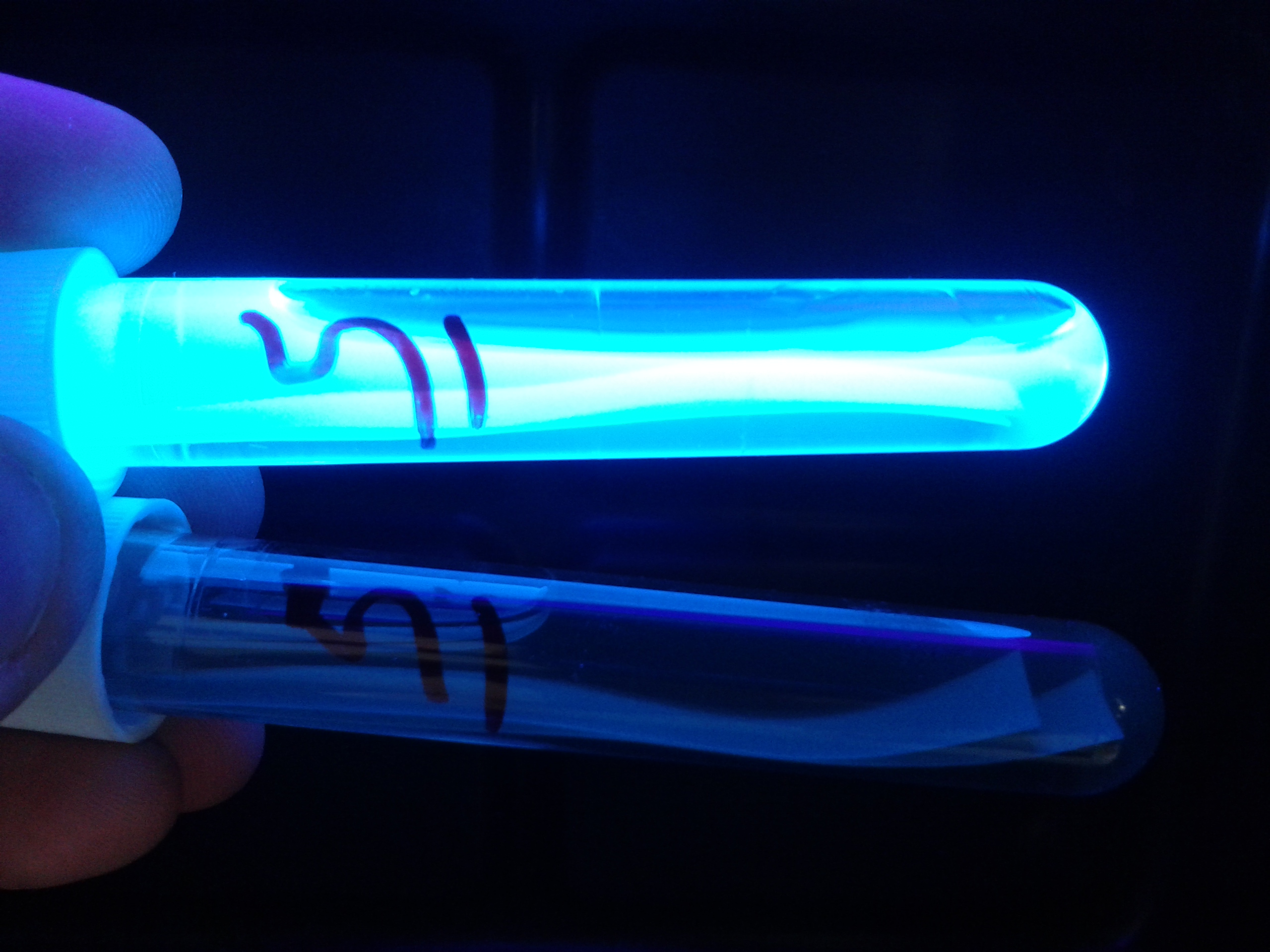 Microbiology
