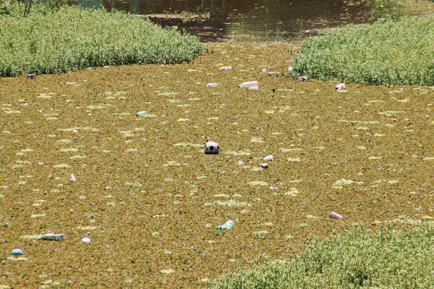Plastic pollution in water systems is a problem we are going to solve