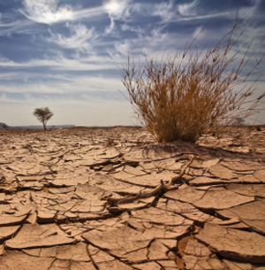 The Lessons to Learn In Order to Deal with Droughts