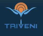 Triveni Global Pvt Ltd