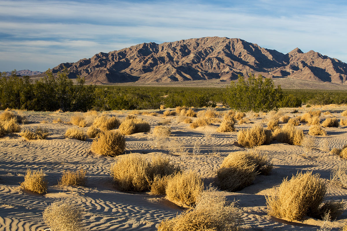 This Week in Water for July 12, 2026