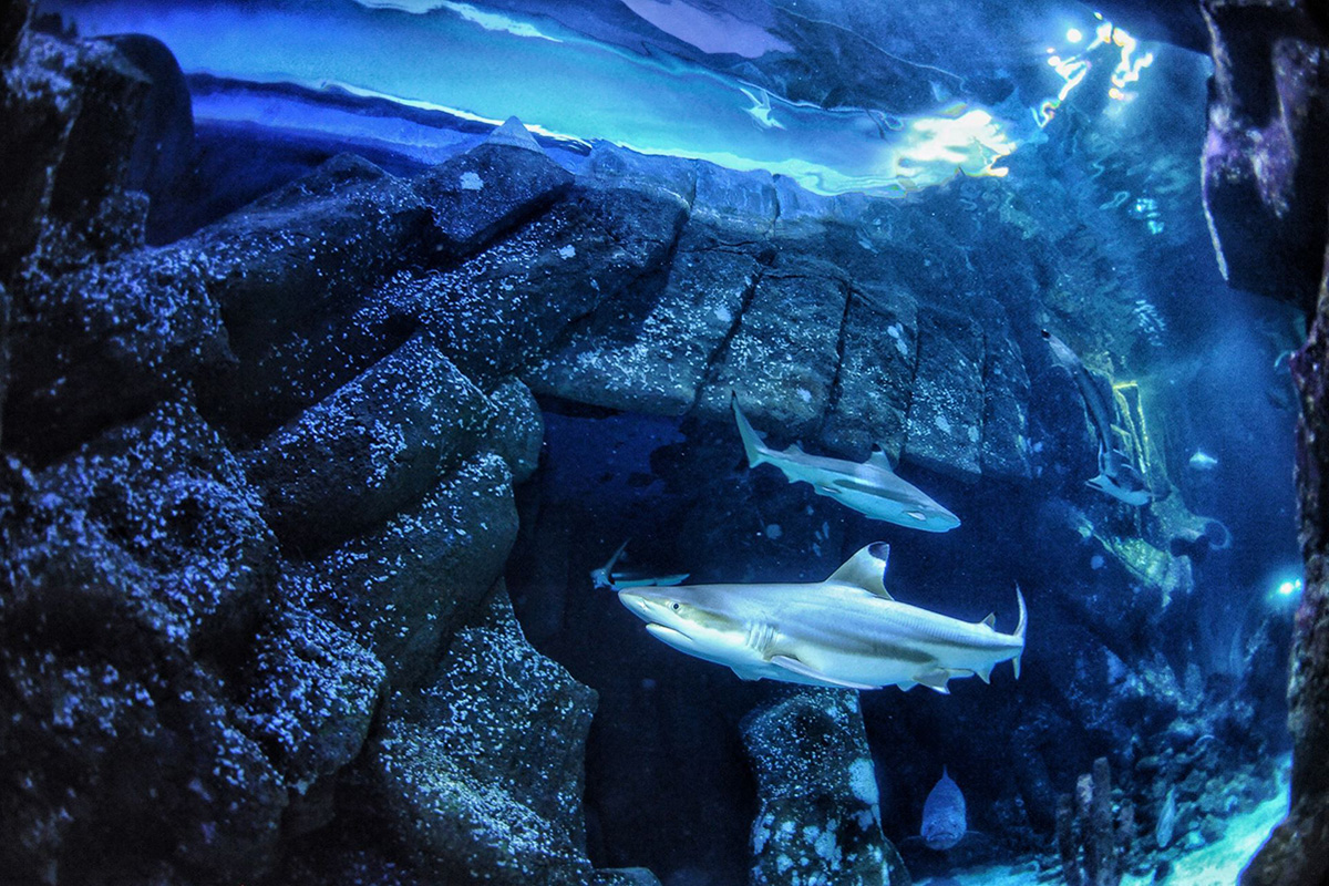 This Week in Water for August 31, 2025