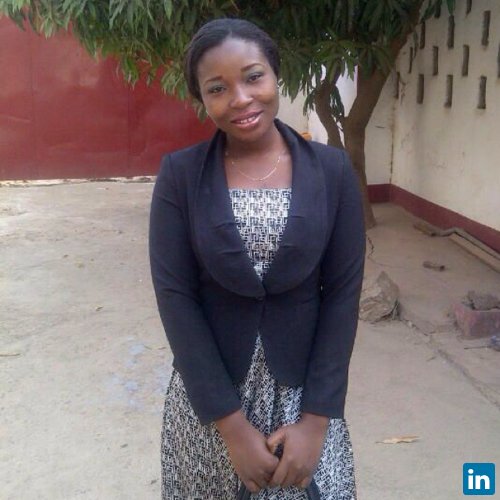 Okeke Chiemego, Chemicals Professional