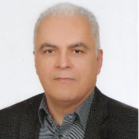 Mahmoud Valinejad