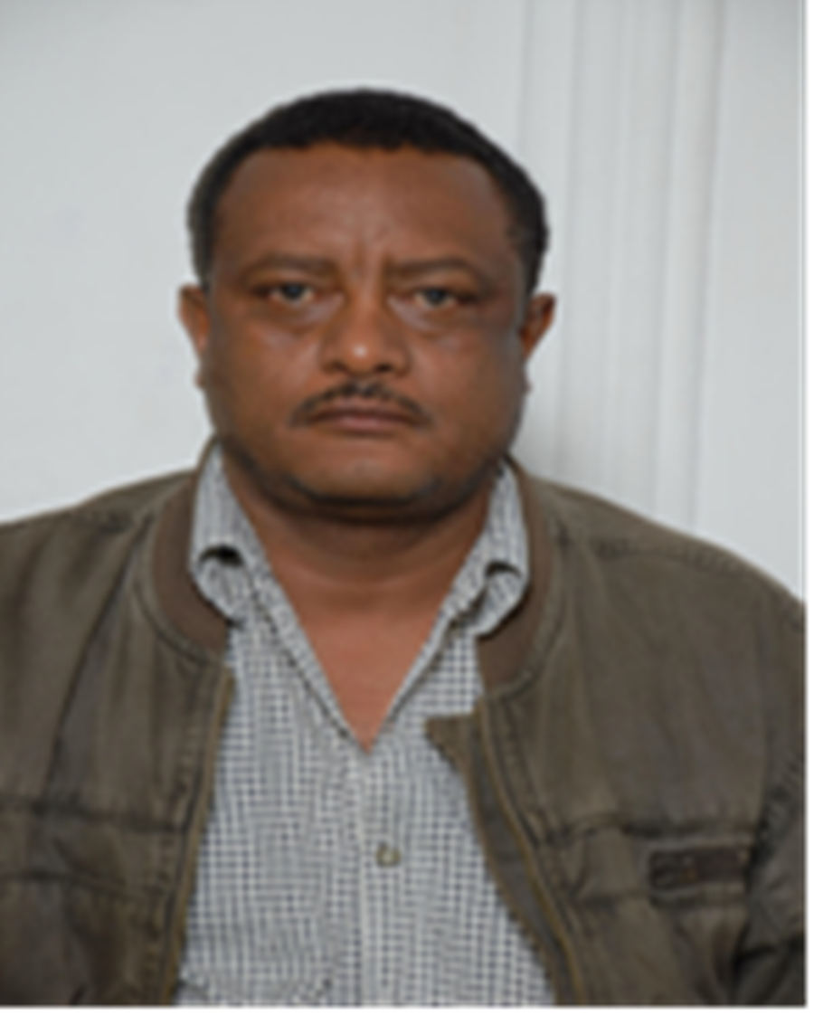Wassie Haile Woldeyohannes, Hawassa University - Assistant Professor