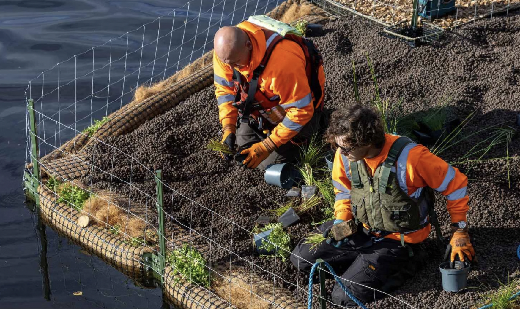 New pioneering floating ecosystem