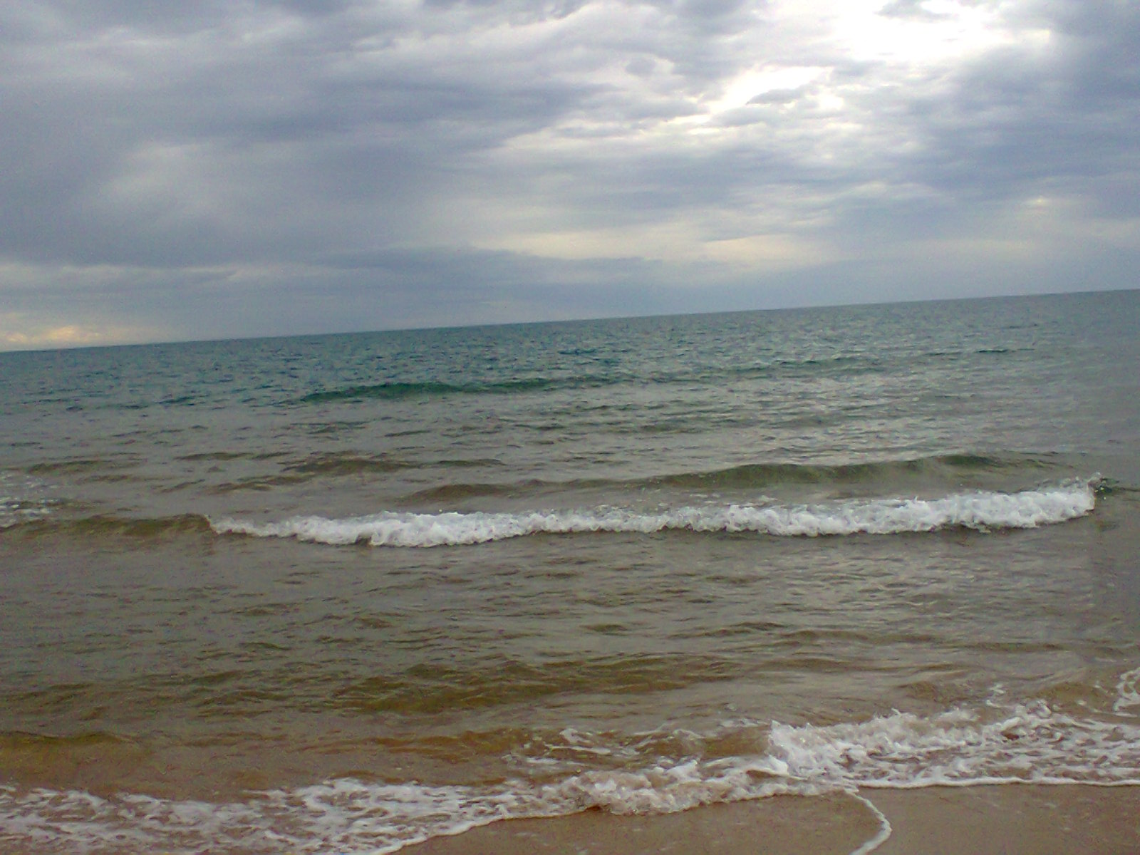 Dalila Touati, Applying for a job