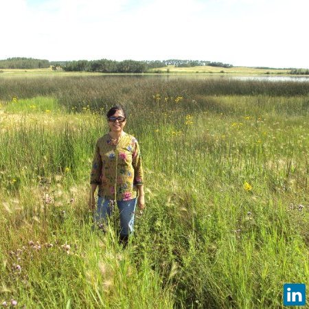 Marilou B. Montemayor, Environmental Professional