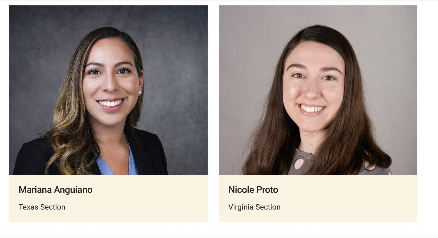 Five Under 35 - Outstanding Young Professional Award