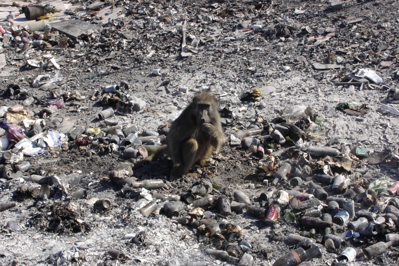 Solid waste management in Protected Areas South Africa