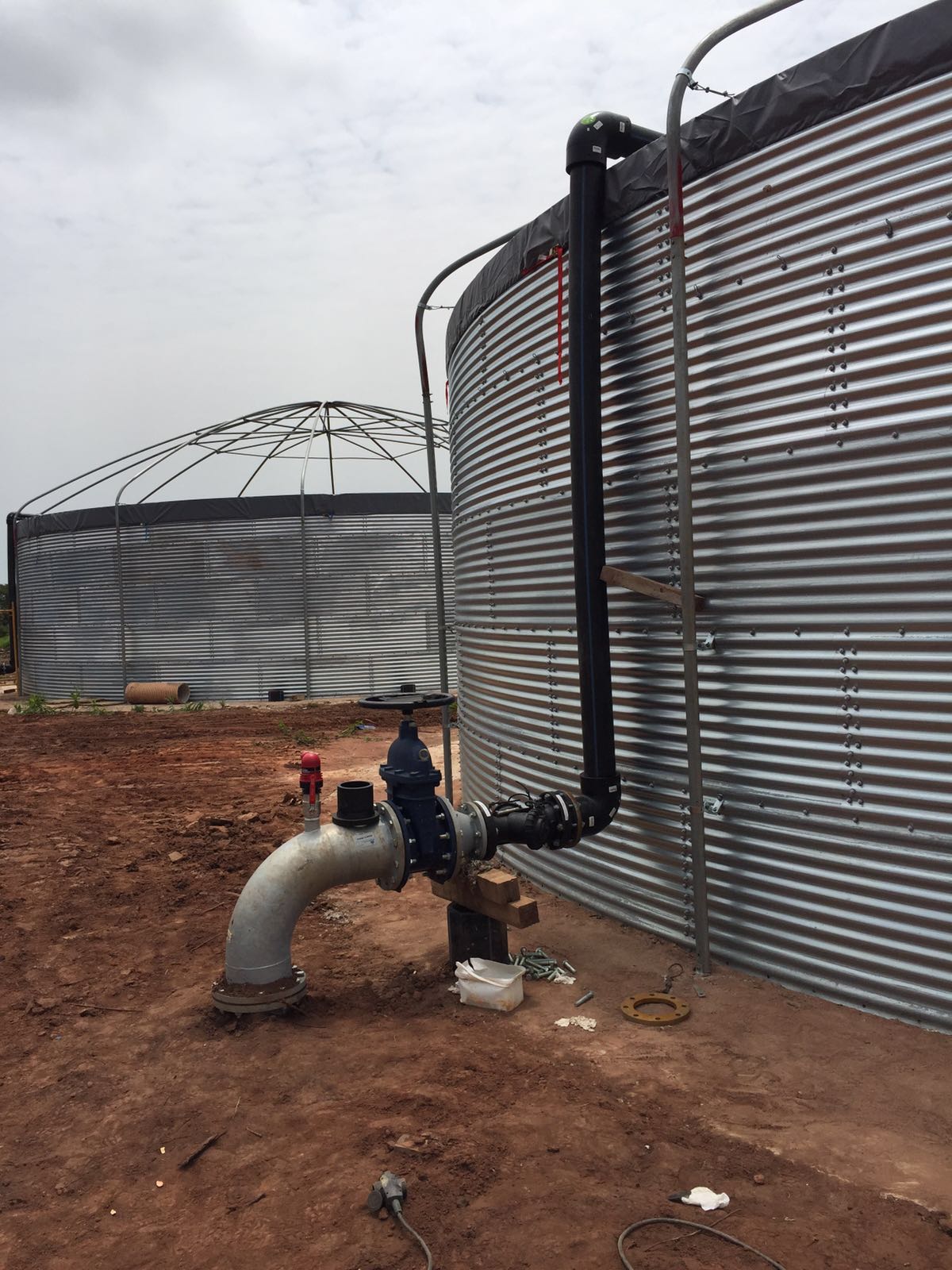 Angola waterplant