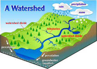 Storm Play Key Role In Biogeochemistry of Watersheds