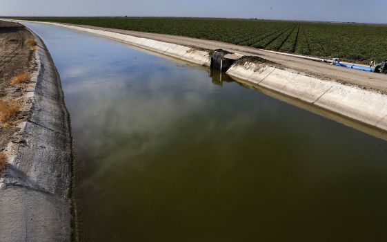 New Tunnels Plan in California, Lesser Investment for Habitat Restoration