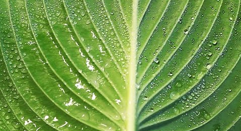 Less Bouncy Water Droplets Reduce Runoff Pollution