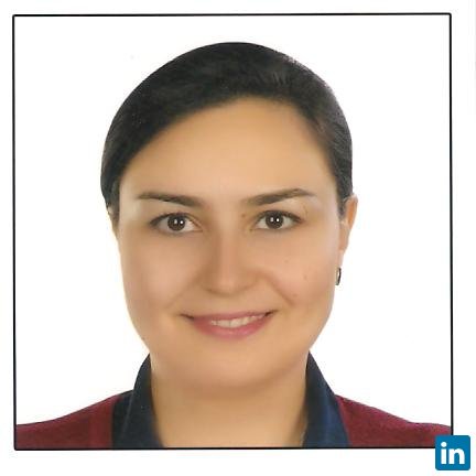 Marwa Hussein, Human Resources Consultant at Veolia