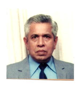 Gamini Kudaliyanage, Development Aid Facilitators - Change Management Facilitator