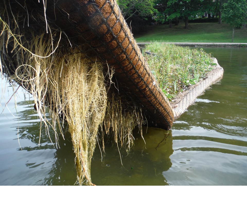 Floating ecosystems