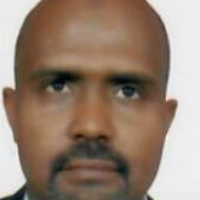 ELNAZIR SAAD ALI ELSAMMANI